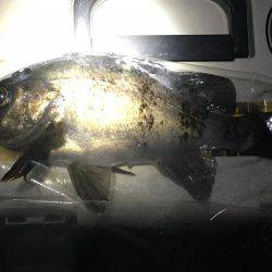 リベンジ釣行っ