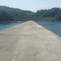 チヌ不発でした・・