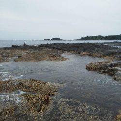 グレ厳しかった・・バラシ・・・