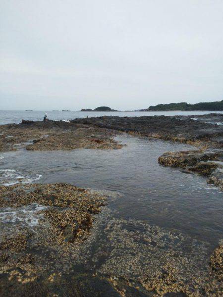 グレ厳しかった・・バラシ・・・