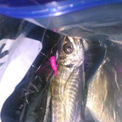 泉佐野コンビナート湾奥