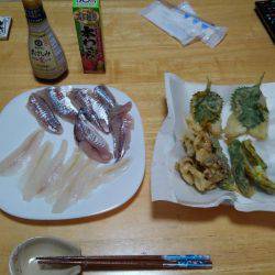 船でキス釣りも激渋…