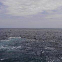 まだ早かった。。。