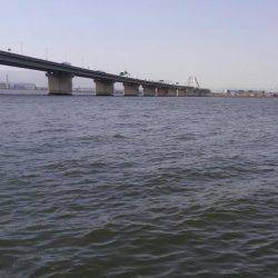 シーバスday ゲーム