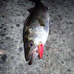 スーパーライトゲーム