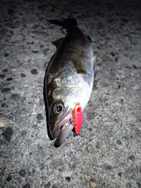 スーパーライトゲーム