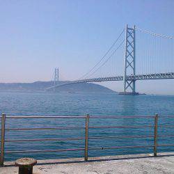 グレ30cm釣れました〜！