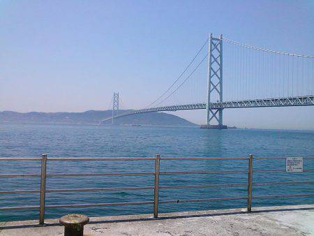 グレ30cm釣れました〜！