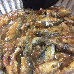 ハマチかシーバス狙いが・・・