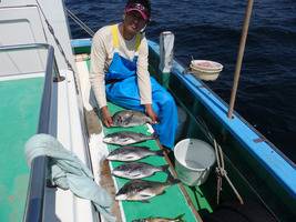 久里浜黒川本家 釣果