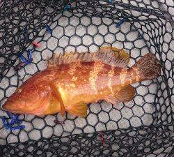 IDATEN(イダテン) 釣果