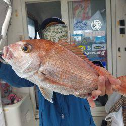 遊漁船 ニライカナイ 釣果