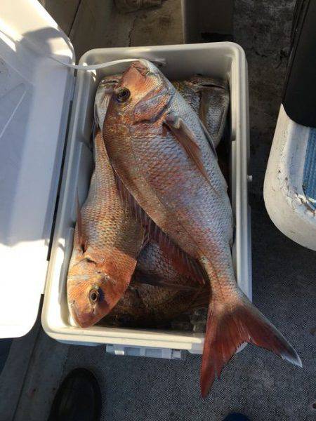 龍宮丸 釣果