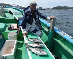 久里浜黒川本家 釣果