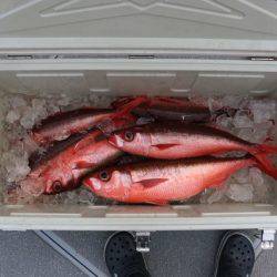 へいみつ丸 釣果