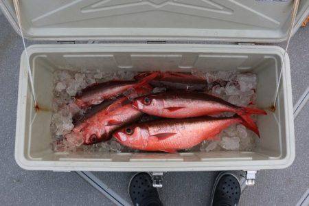 へいみつ丸 釣果