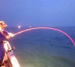 IDATEN(イダテン) 釣果