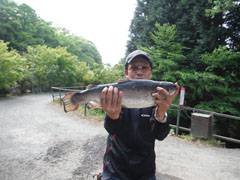 すそのフィッシングパーク 釣果