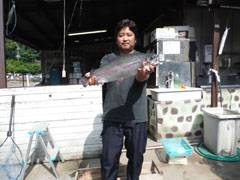 すそのフィッシングパーク 釣果