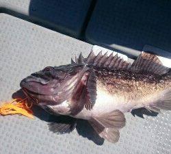 IDATEN（イダテン） 釣果