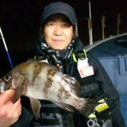 釣り船武蔵 釣果