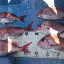 釣り船武蔵 釣果