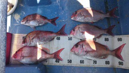 釣り船武蔵 釣果