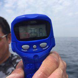 フィッシングボートACE(エース) 釣果