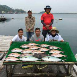 由良海上釣り堀 海人 釣果