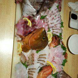 リトルワン 釣果