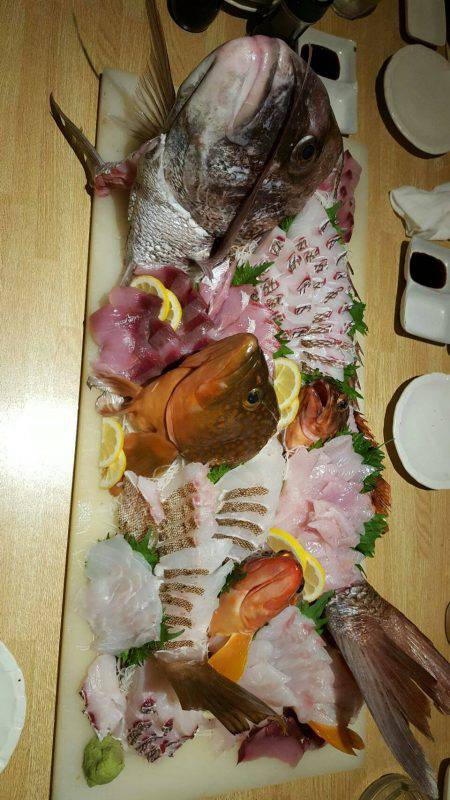 リトルワン 釣果