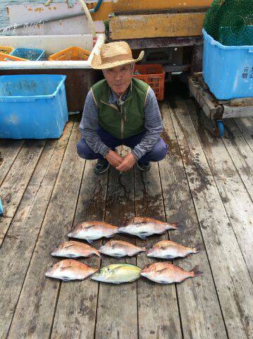 由良海上釣り堀 海人 釣果