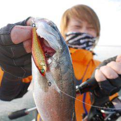 TOPGUN名古屋 釣果