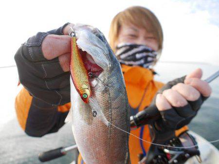 TOPGUN名古屋 釣果