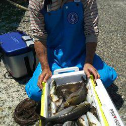 松栄丸 釣果