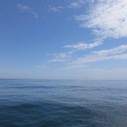 Hit Rush(ヒット ラッシュ) 釣果