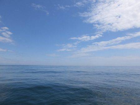 Hit Rush(ヒット ラッシュ) 釣果