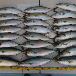 Hit Rush(ヒット ラッシュ） 釣果