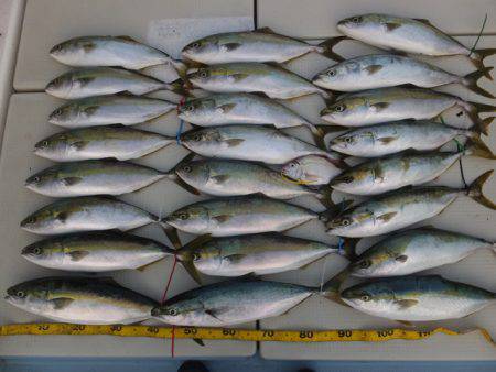 Hit Rush(ヒット ラッシュ） 釣果…