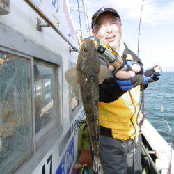 かもめ釣船 釣果