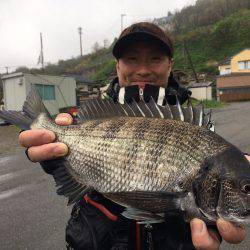 由良渡船 釣果