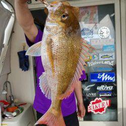 遊漁船　ニライカナイ 釣果