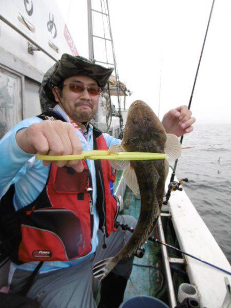 かもめ釣船 釣果