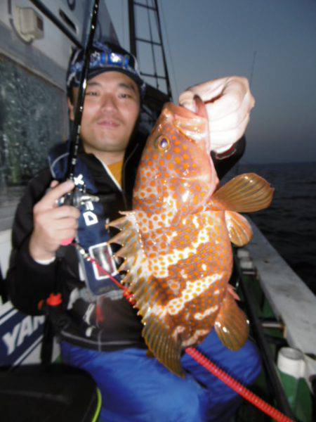 かもめ釣船 釣果