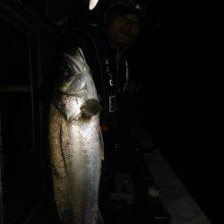 かもめ釣船 釣果