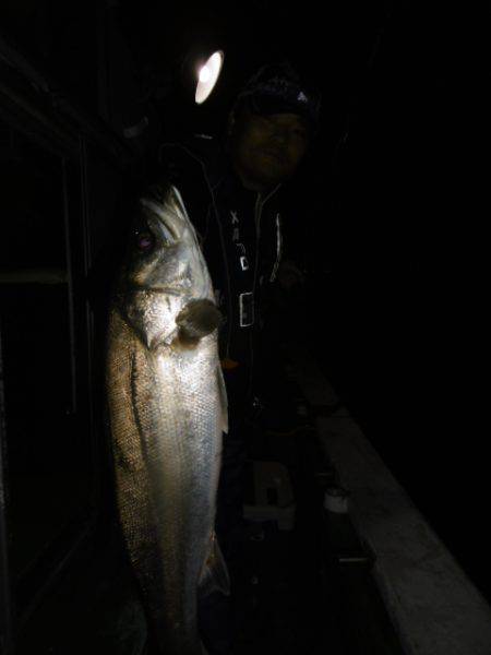 かもめ釣船 釣果