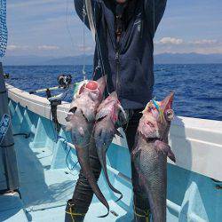 結愛丸 釣果