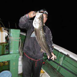 かもめ釣船 釣果