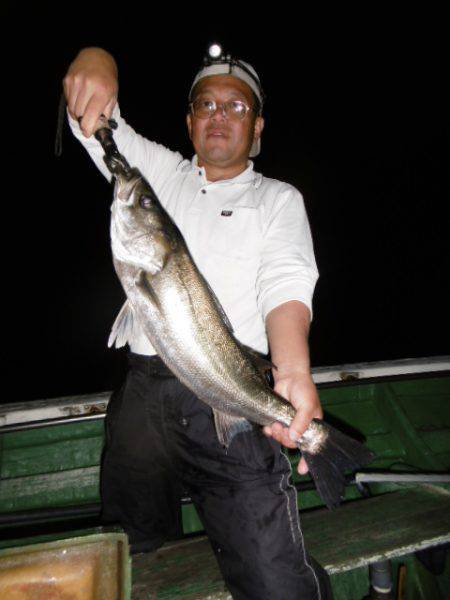 かもめ釣船 釣果