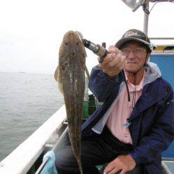 かもめ釣船 釣果